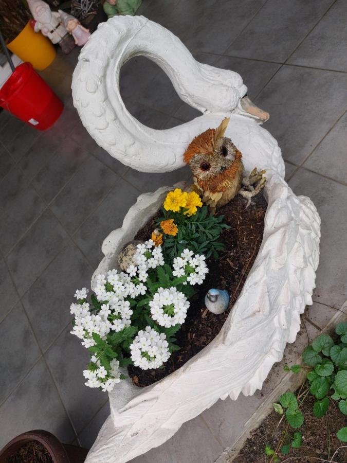 Queen House Apartman 자그레브 외부 사진